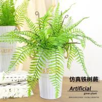 uploads/erp/collection/images/Home Garden/CongDing/XU0611644/img_b/XU0611644_img_b_1